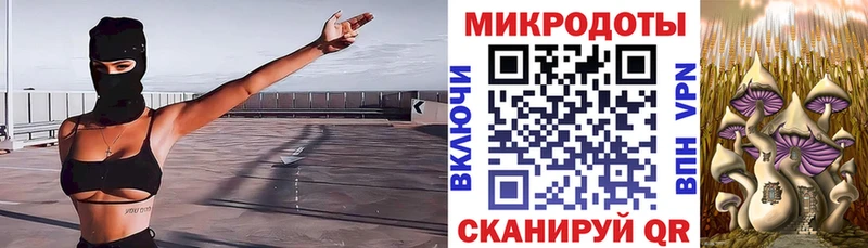 что такое наркотик  Сегежа  Галлюциногенные грибы мухоморы 