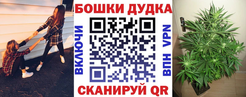 где продают наркотики  Сегежа  Каннабис гибрид 