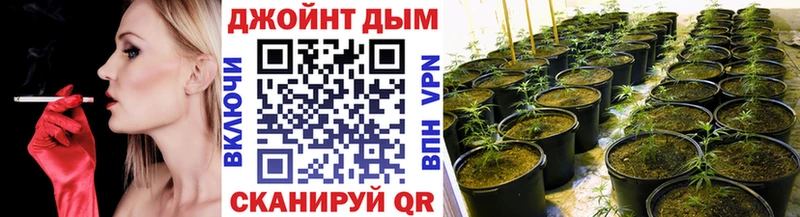 Марихуана сатива Сегежа
