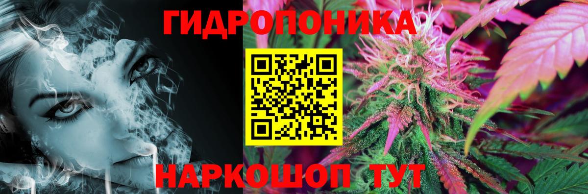 Каннабис конопля  Бошки марихуана ГИДРОПОН  Вход с VPN  Бошки Шишки план  Сегежа  Шишки марихуана White Widow 